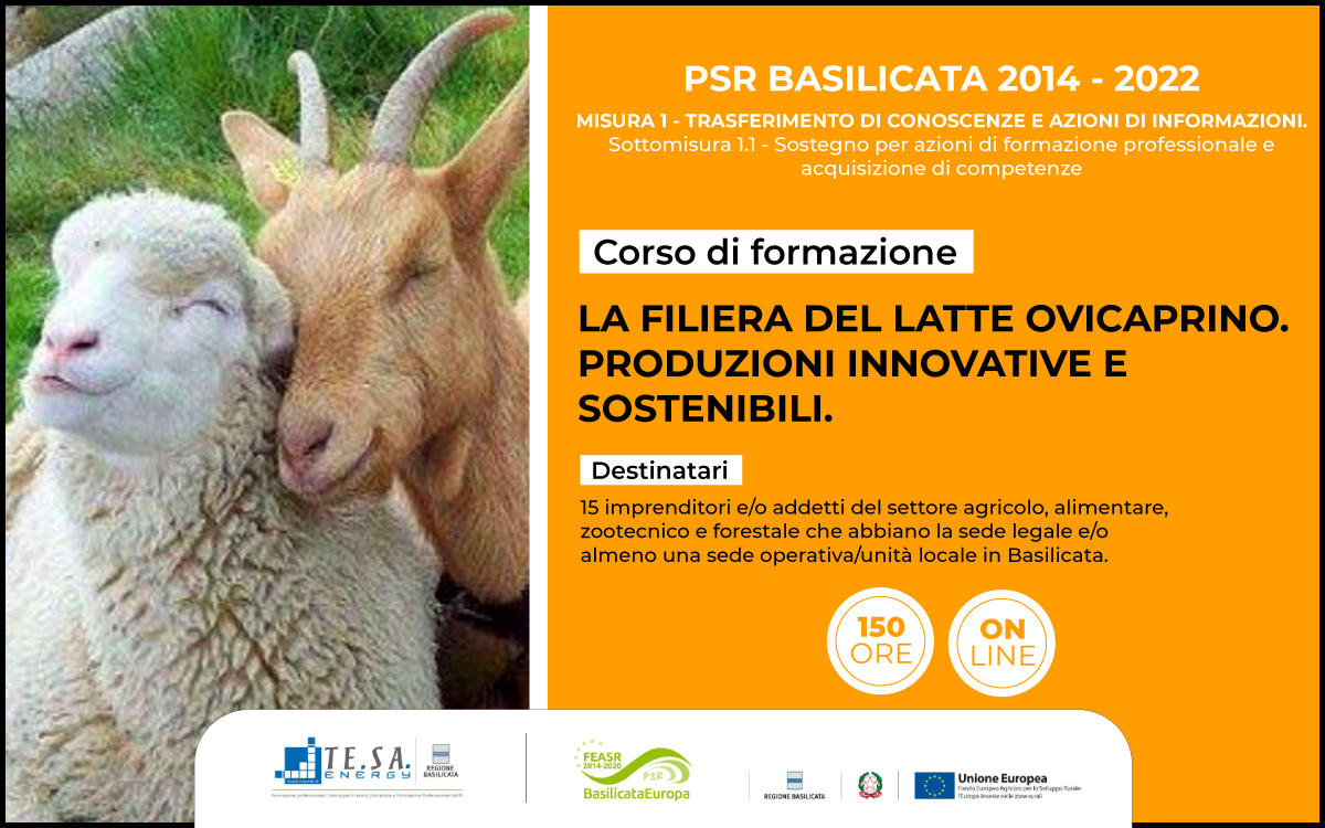 La filiera del latte ovicaprino